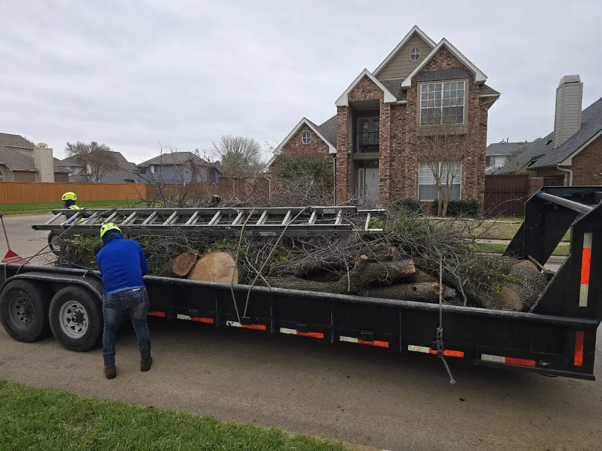 Expert Tree Fertilization with proper safety equipment in Mineola